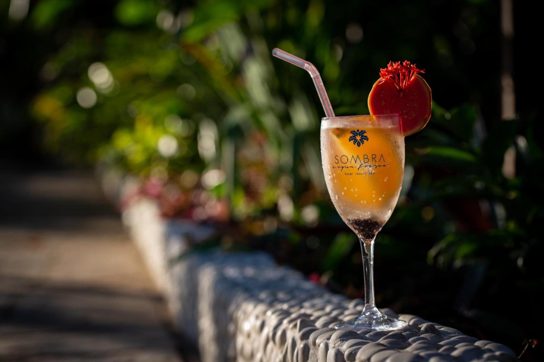 Hotel Sombra E Agua Fresca Praia de Pipa Eksteriør billede